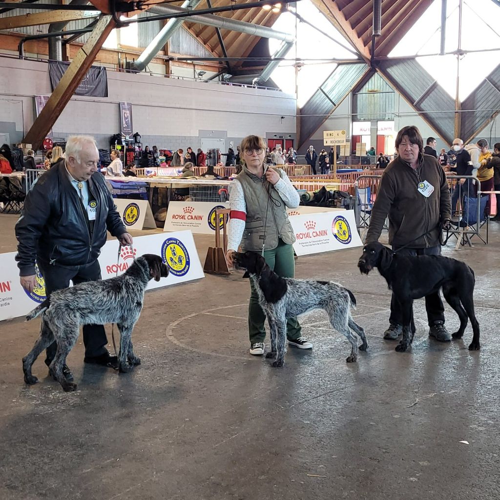 des Plaines du Cambresis - SPECIALE BARBU TCHEQUE AMIENS 06/03/2022