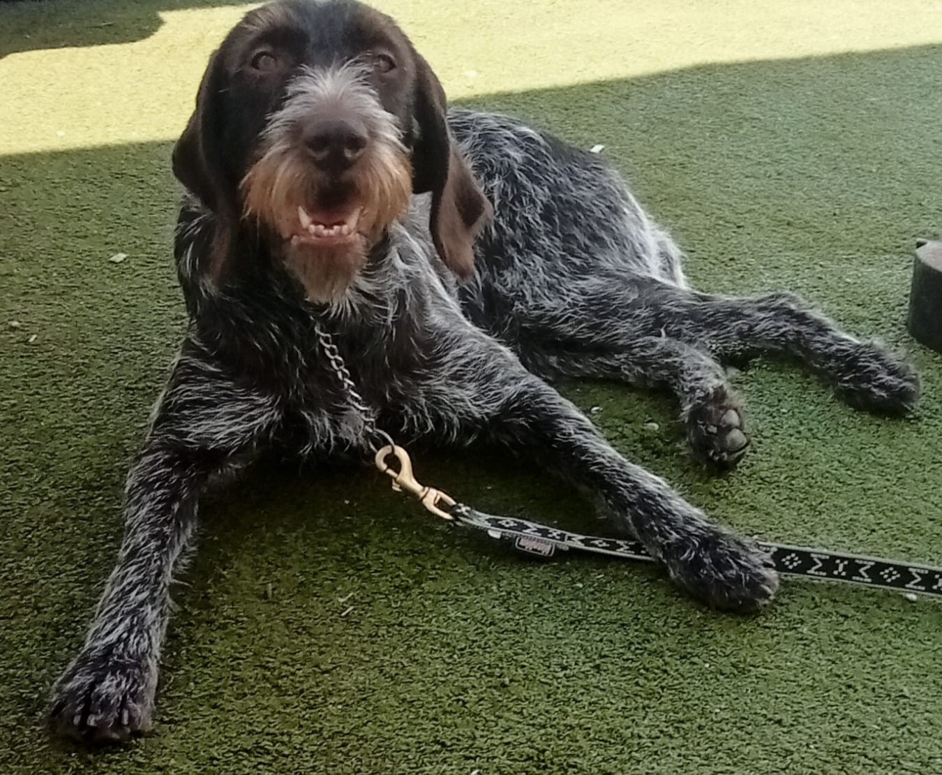 SALLIE BETTY Z RAZOVA