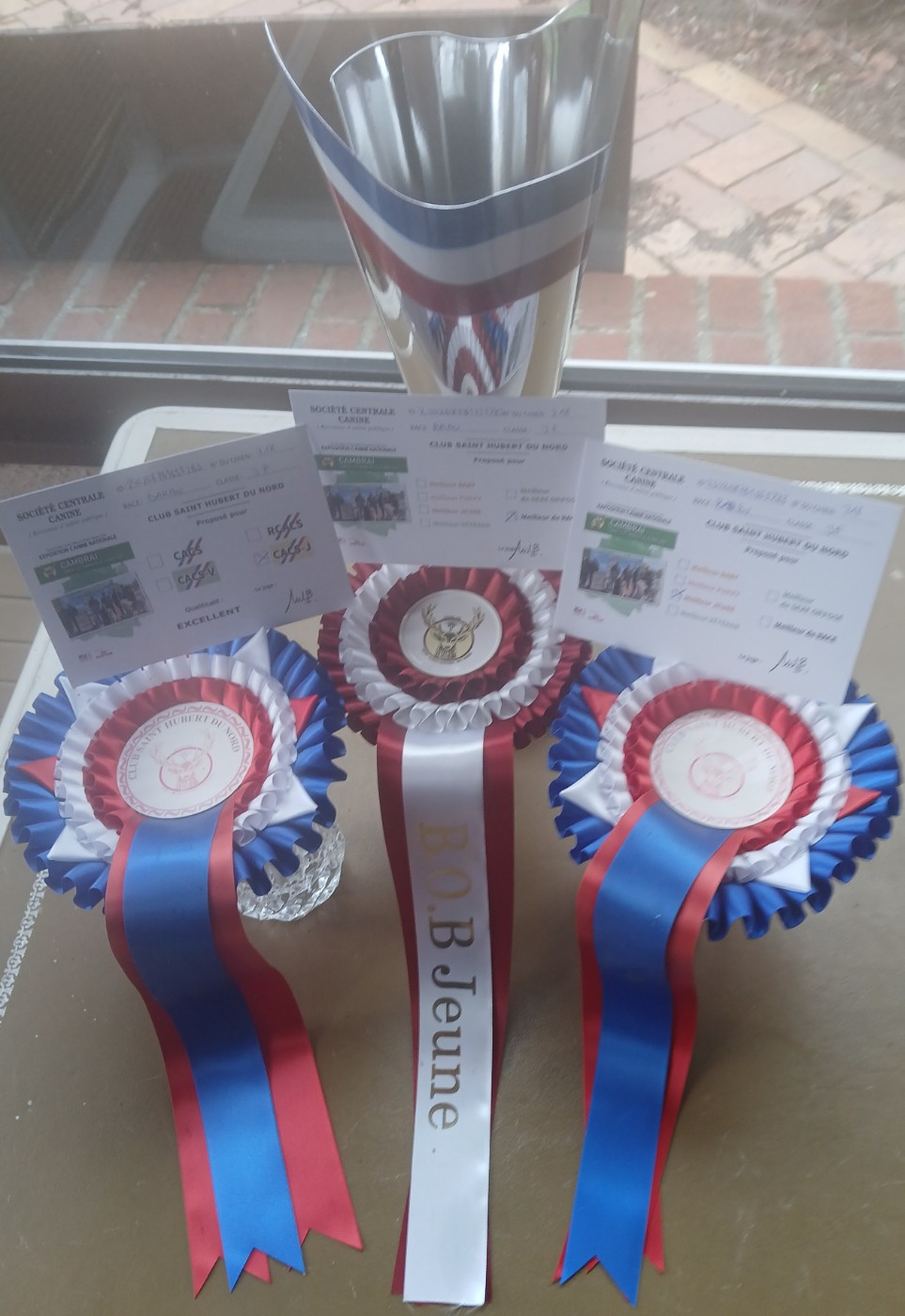 EXPO NATIONALE SPECIALE DE RACE BARBU