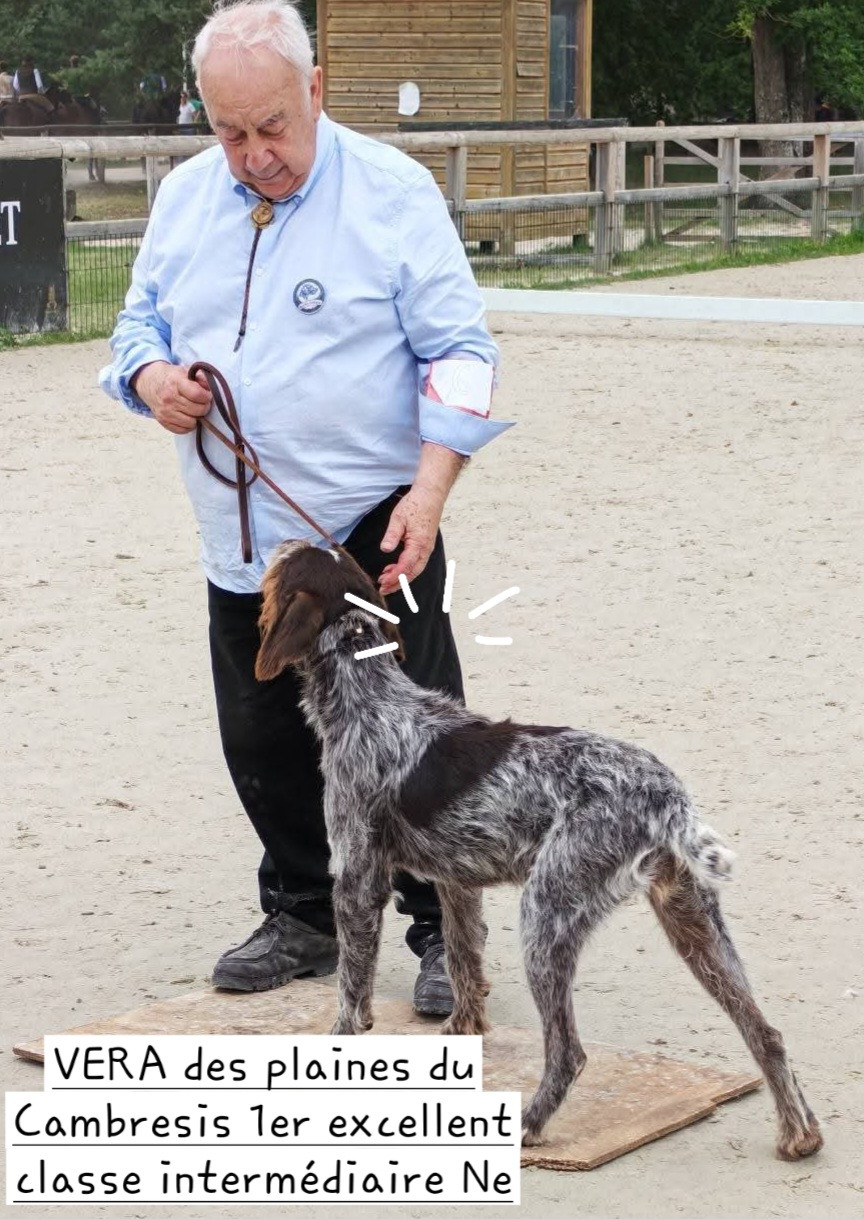 NATIONALE D ELEVAGE A FONTAINEBLEAU
